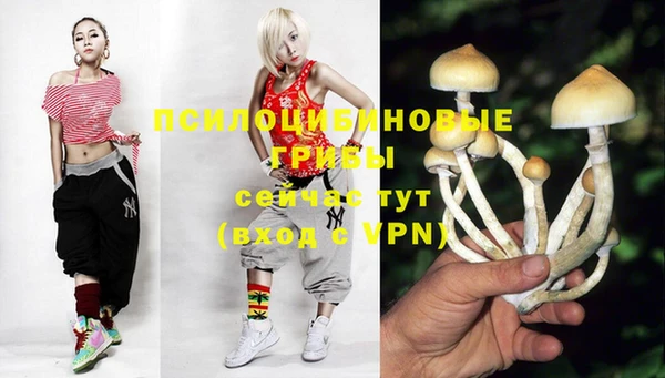 прущая мука Богородск