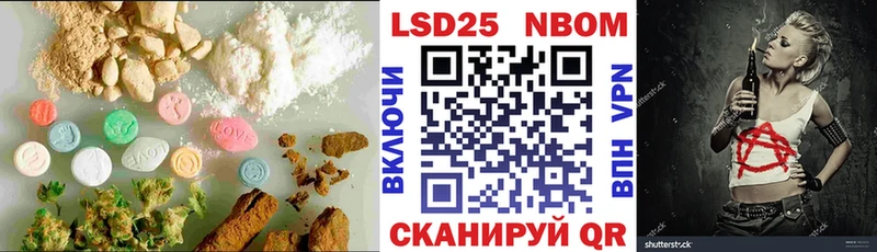 где продают наркотики  Новоузенск  Лсд 25 экстази кислота 