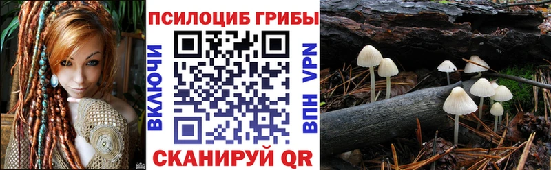 Галлюциногенные грибы Magic Shrooms  Новоузенск 